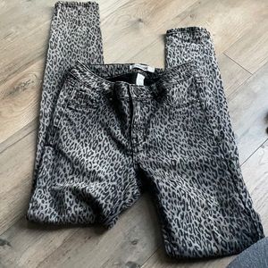 Cheetah print refuge